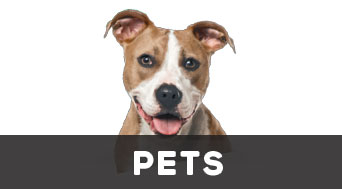 Pets
